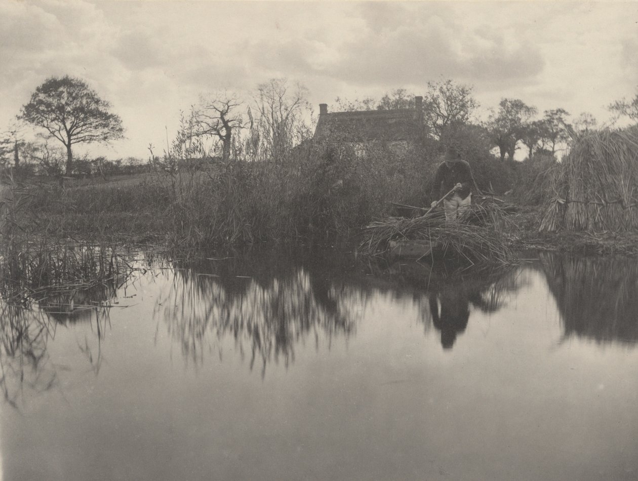 格拉登号定量，1886 年（照片） 作者 彼得·亨利·爱默生