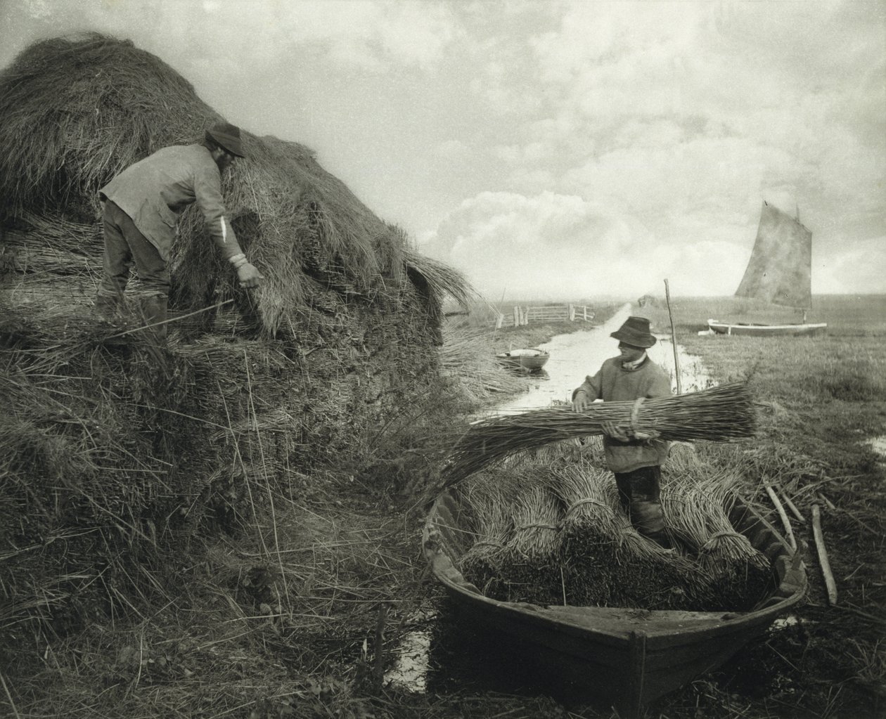 Ricking the Reed, c.1885 (platinum print) 作者 彼得·亨利·爱默生