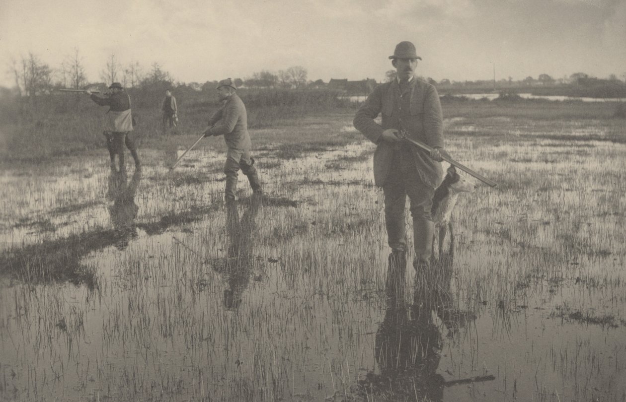 射鹬，1886 年（照片） 作者 彼得·亨利·爱默生