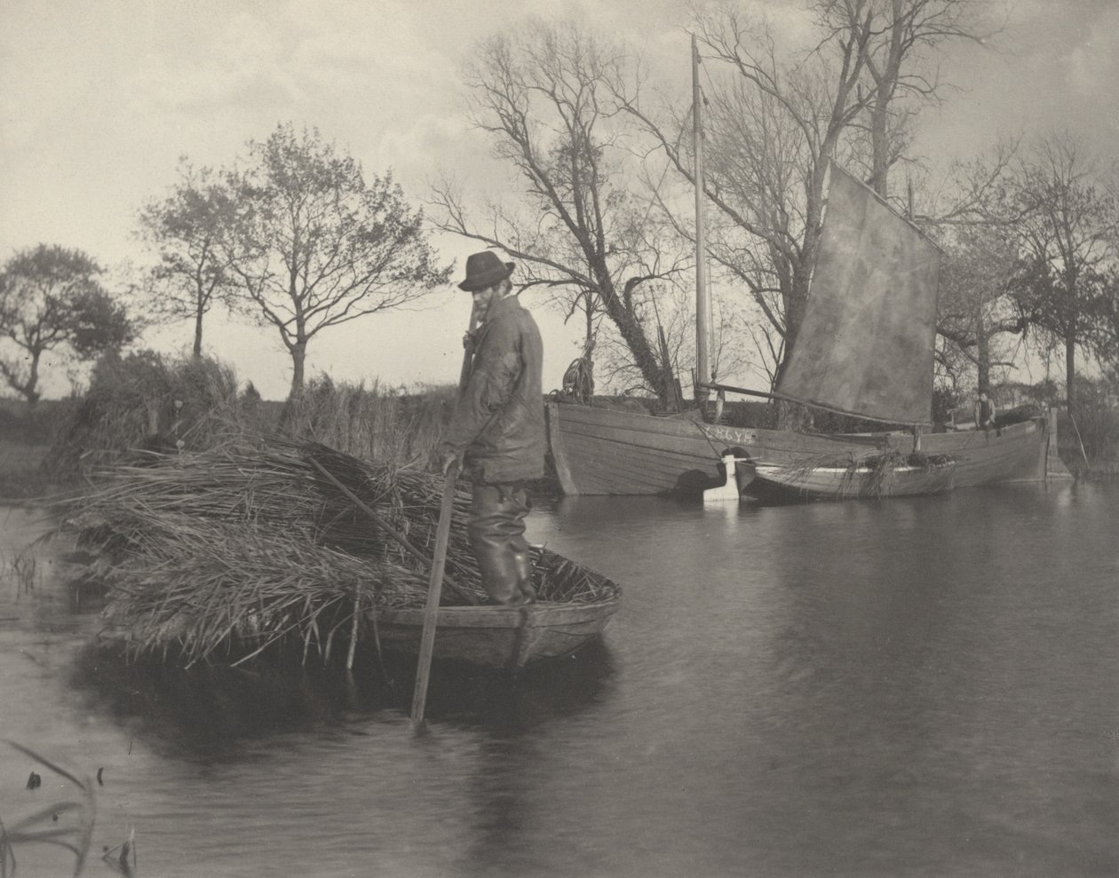 Gladdon-Cutter