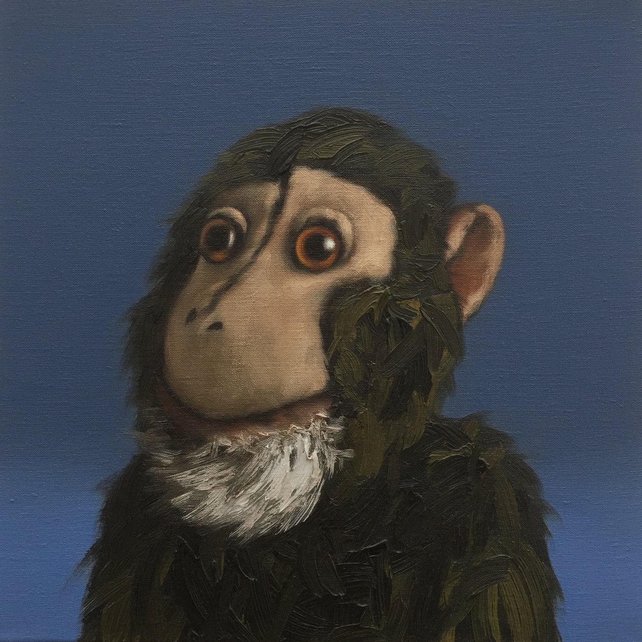 Andy Monkey, 2017 作者 彼得·琼斯