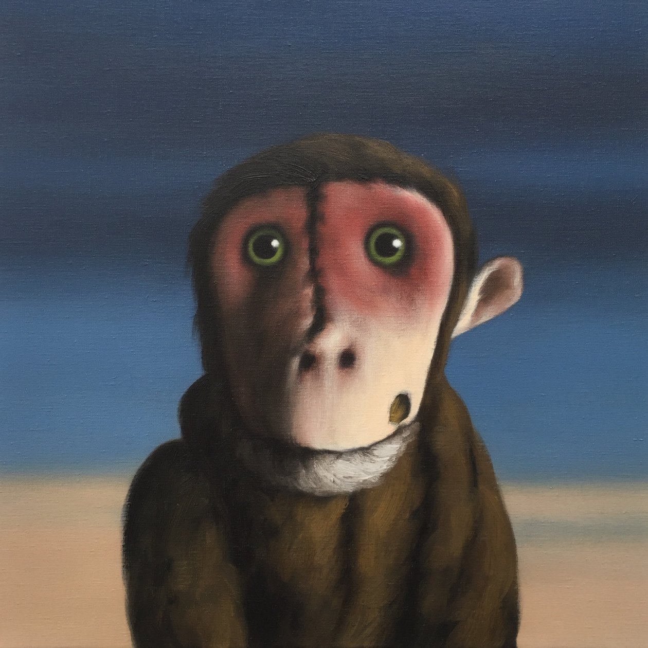 Fergus Monkey, 2017 作者 彼得·琼斯
