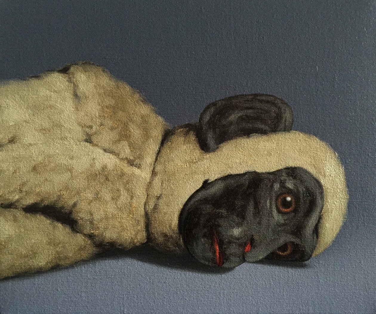 Monkey Still-Life, 2016 作者 彼得·琼斯
