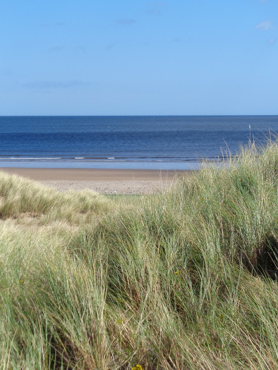 DURHAM COAST 2015年第1期（摄影） 作者 彼得麦克卢尔