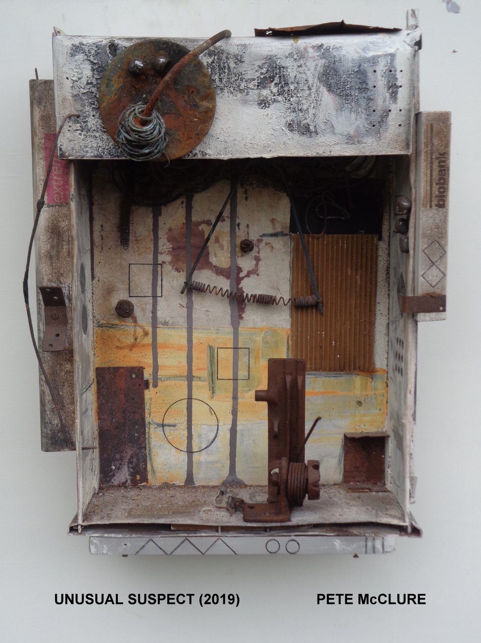 UNUSUAL SUSPECT. 2019 作者 彼得麦克卢尔