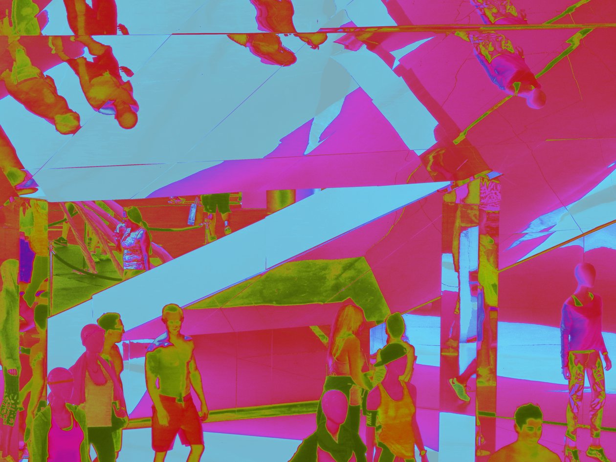 VENICE BEACH UPSIDE-DOWN，2014（数字图像） 作者 彼得麦克卢尔