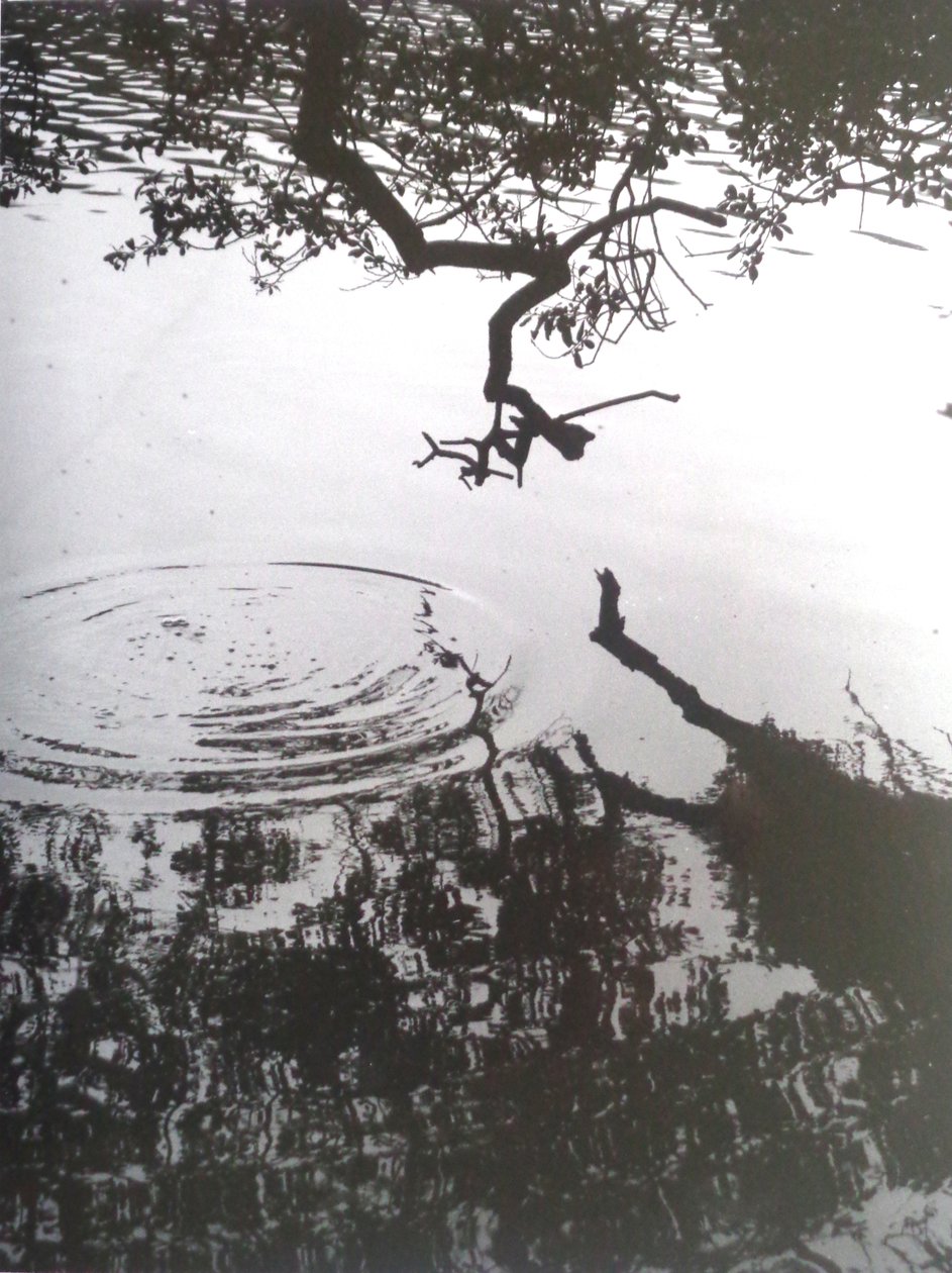 复古B＆W照片No.5,1986，（摄影） 作者 彼得麦克卢尔