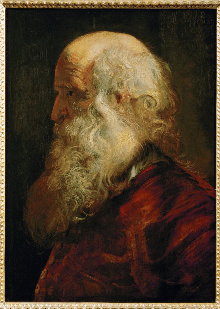 老人的研究，约 1610 年（橡木上的绘画） 作者 彼得·保罗·鲁本斯