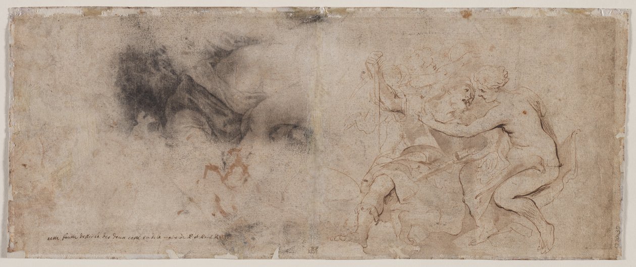 金星解除火星，窗帘研究，c。 163235。 作者 彼得·保罗·鲁本斯