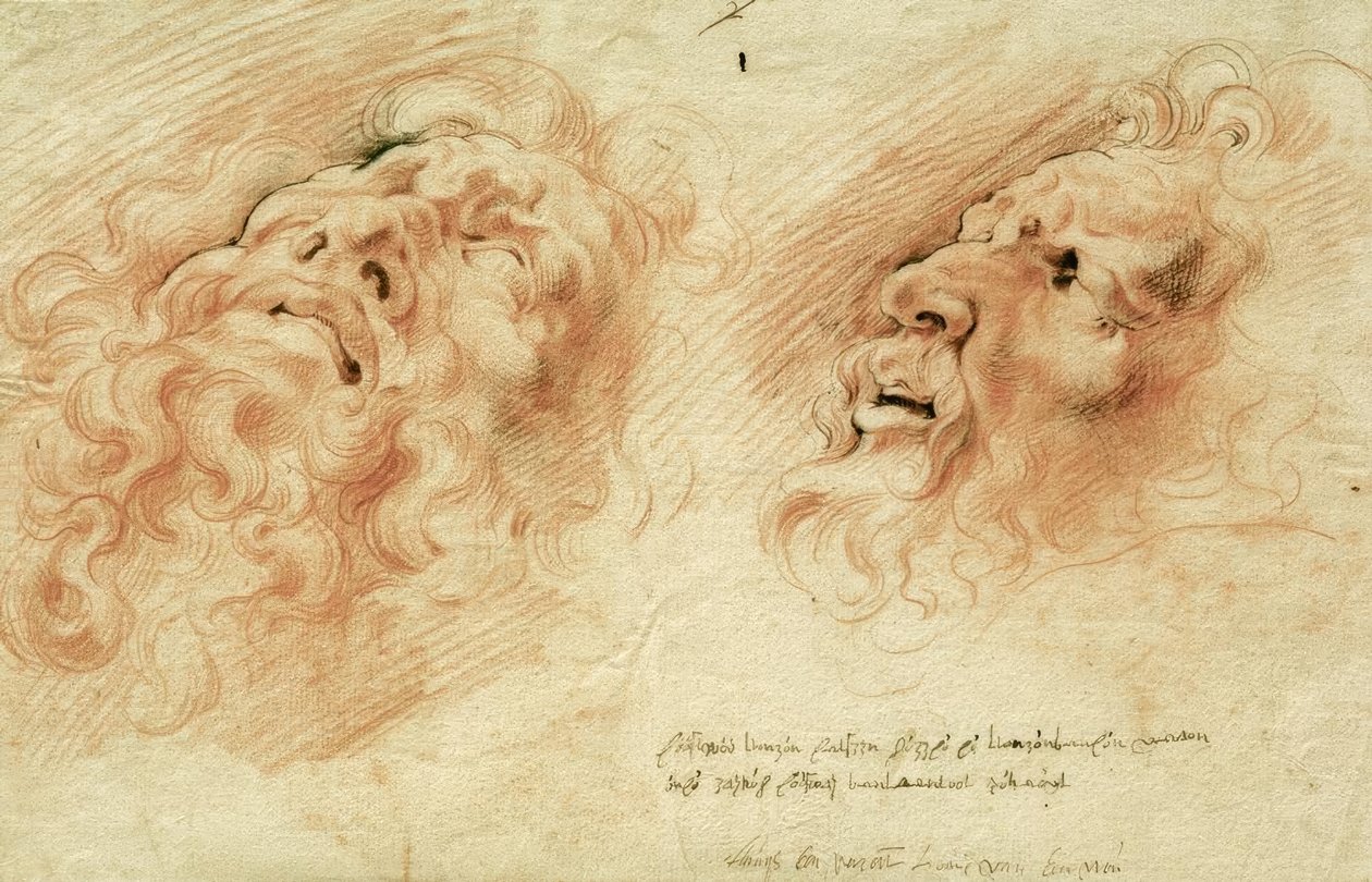 继Laocoon负责人之后的两项研究 作者 彼得·保罗·鲁本斯