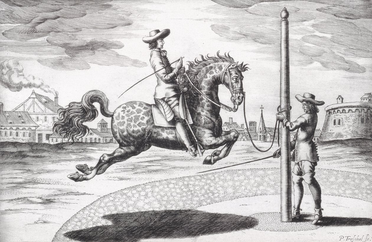 来自Winters，Stuterey和Reit-Schul撰写的New Treatise for Breating Horses的Horse en Capriole，由艺术家，酒吧雕刻。 1672年雕刻 作者 彼得·保罗·特洛斯切尔