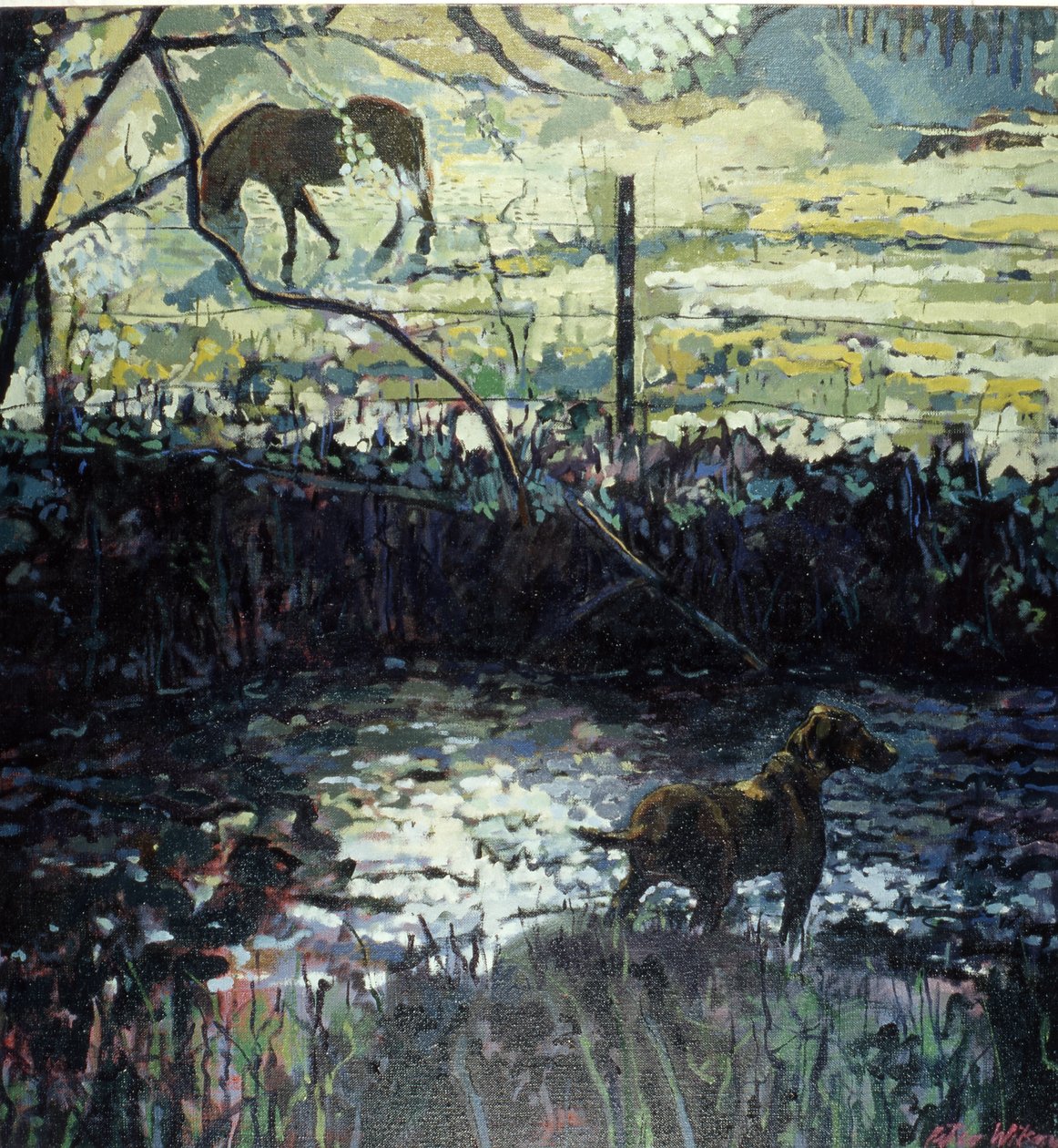 田野中的小马和狗，2000 年（布面油画） 作者 彼得·威尔逊