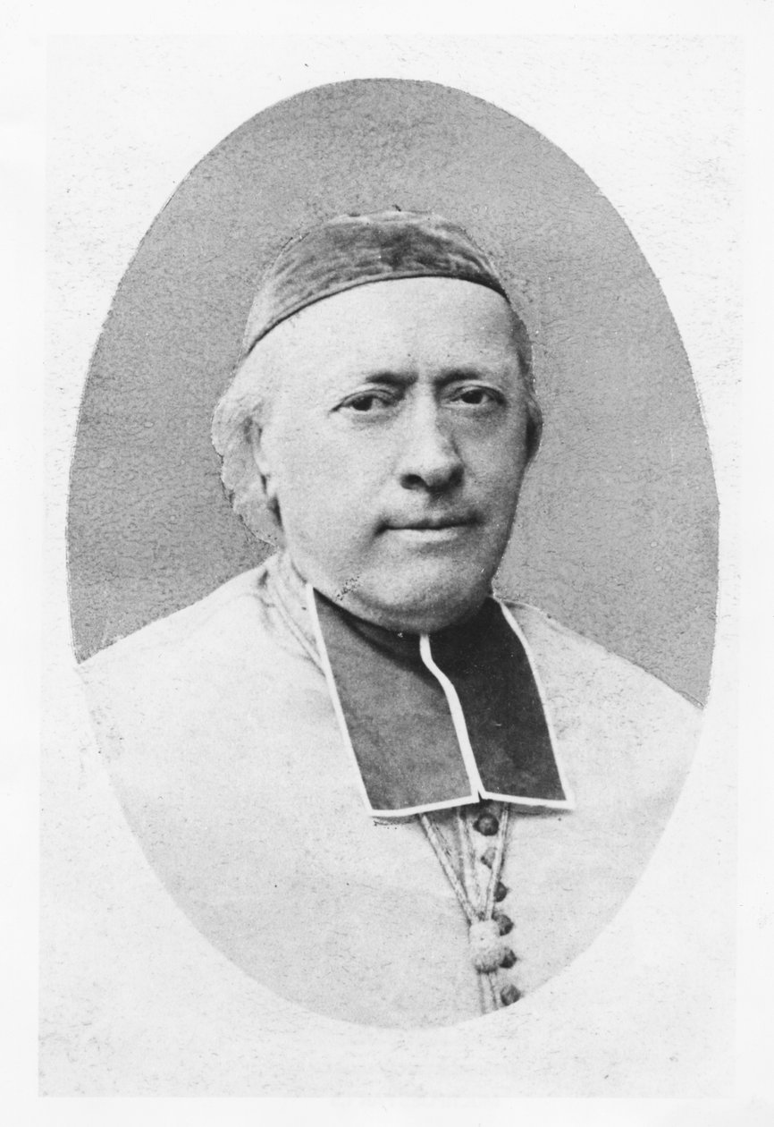 Charles-Emile Freppel的肖像 作者 佩蒂特