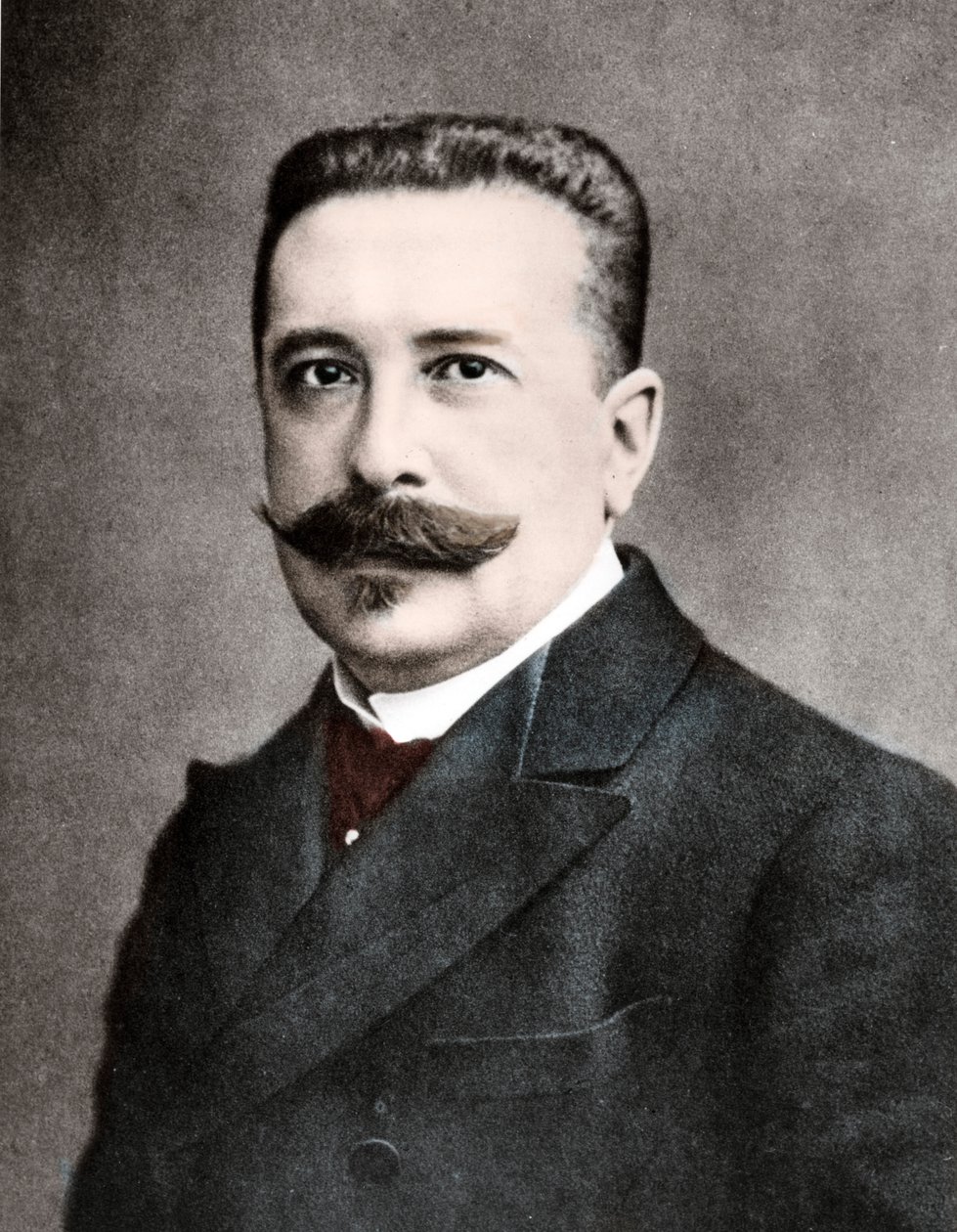 费尔南-维达尔（1862-1929）的肖像 作者 小小