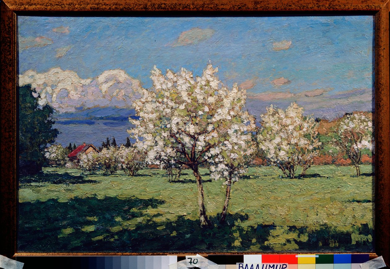 樱花。 彼得·伊万诺维奇·彼得罗维奇夫 (Pyotr Petrovichev) (1874-1947) 绘画，布面油画 作者 彼得·伊万诺维奇·彼得罗维奇夫