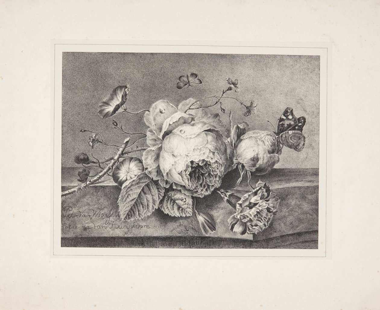 花卉静物 作者 彼得罗内拉（Petronella van Woensel）