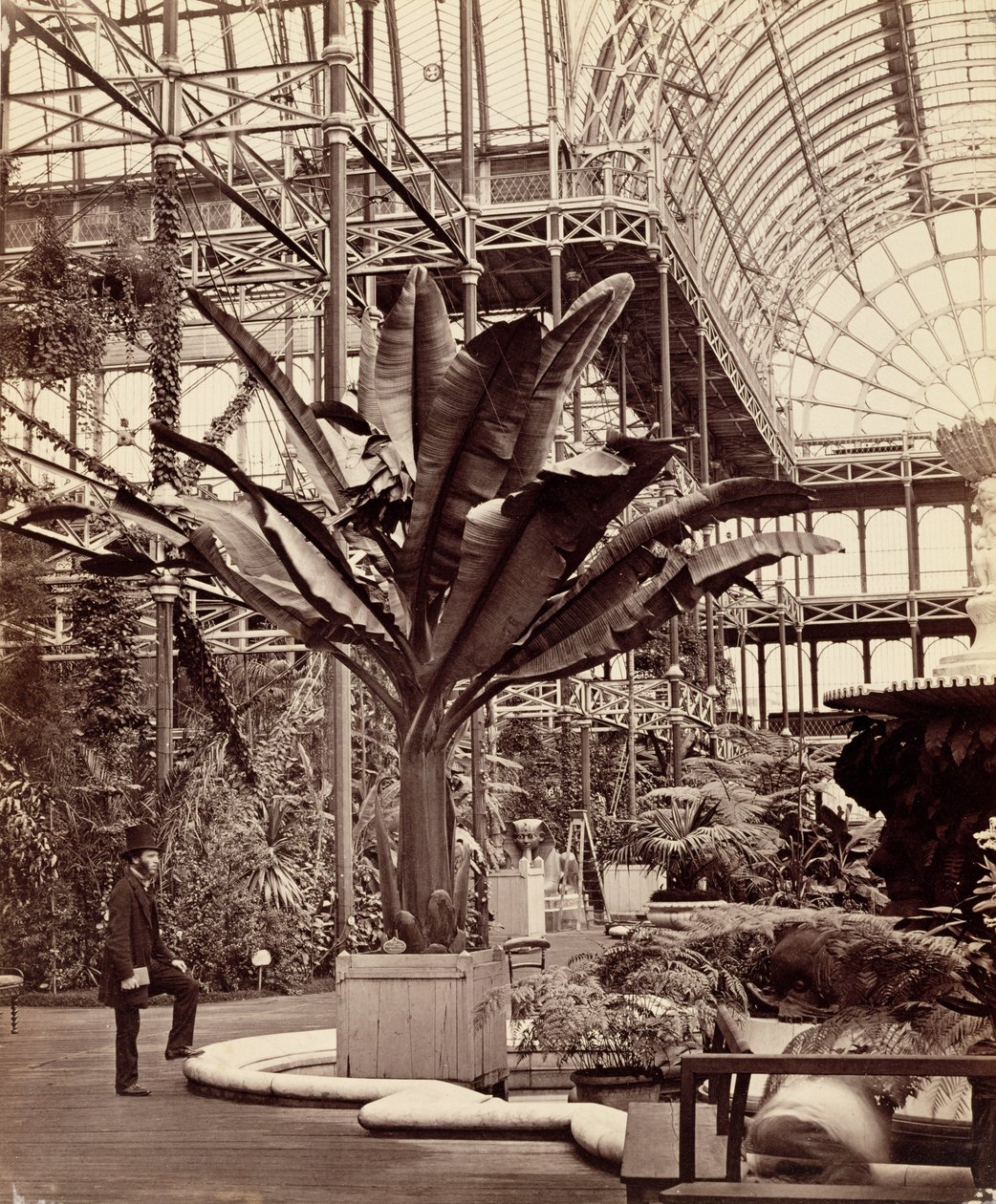 热带植物在埃及室，水晶宫，Sydenham，1854年 作者 菲利普·亨利·德拉莫特