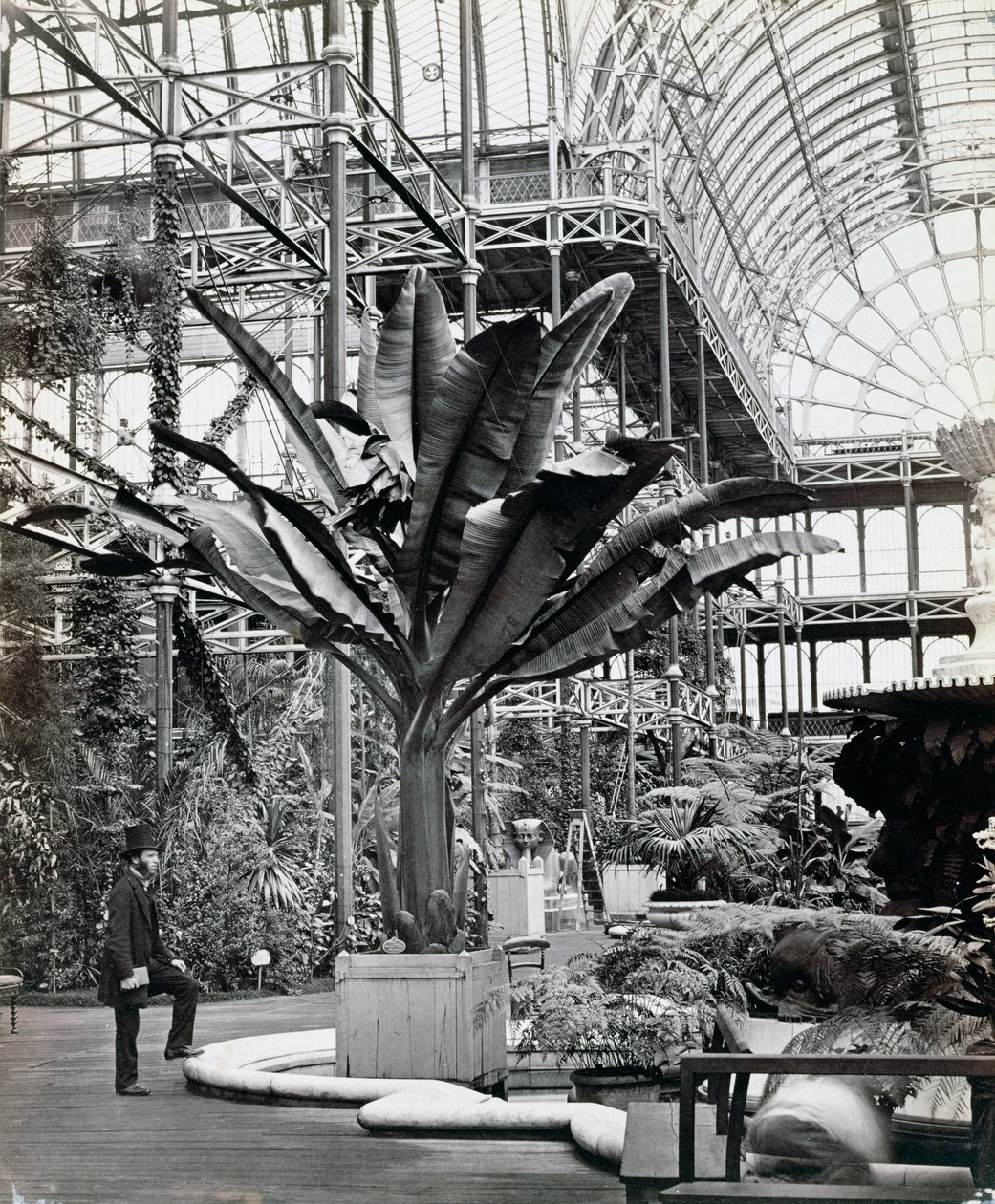 伦敦锡登纳姆水晶宫埃及厅的热带植物，1854年 作者 菲利普·亨利·德拉莫特