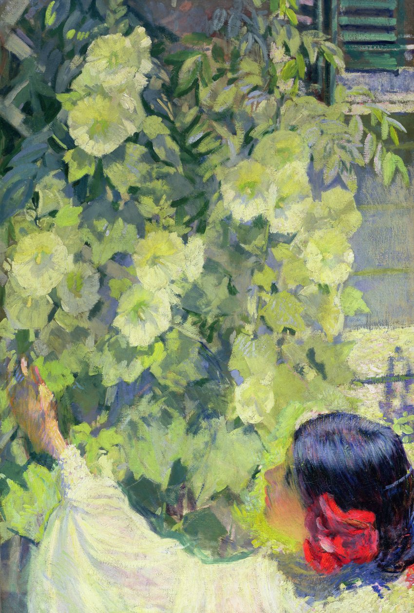荷花，约 1923 年（布面油画） 作者 菲利普·莱斯利·黑尔