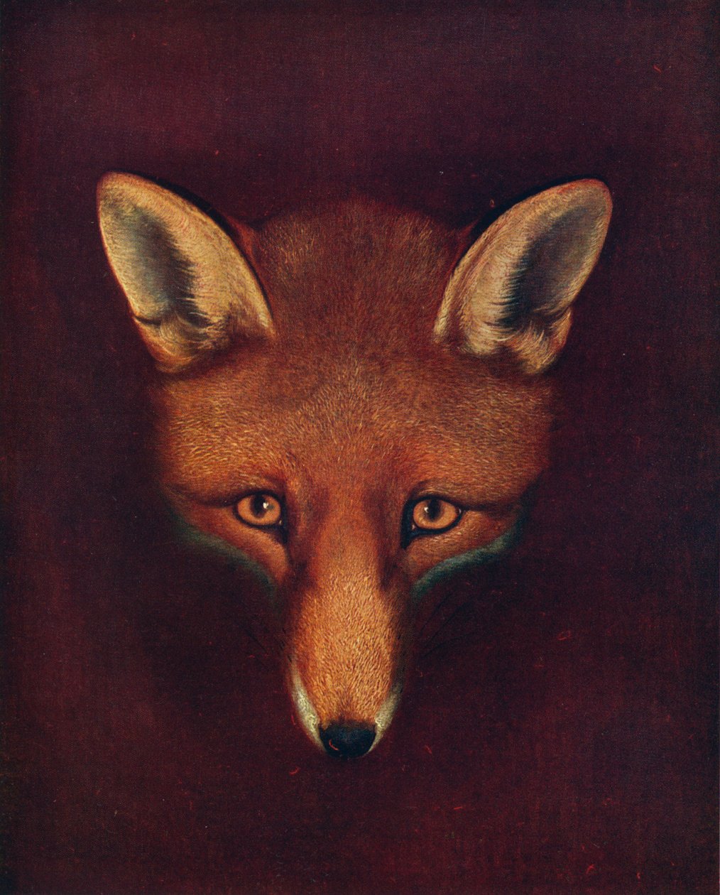 雷纳德·福克斯（Renard the Fox），c1800年，1922年 作者 菲利普·雷纳格