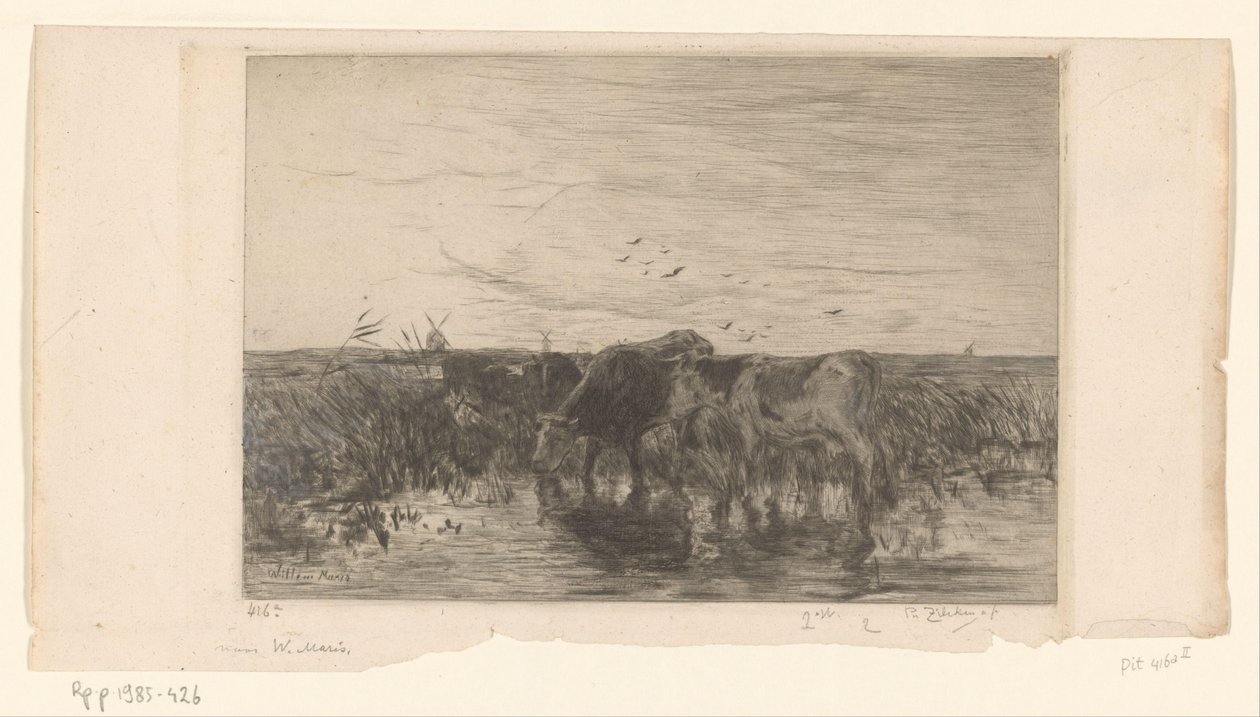 草地水边的奶牛
Vaches au bord de l