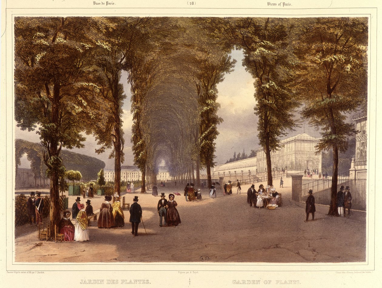 Le Jardin des Plantes - 载于 "Promenade dans Paris et ses environs", by Jacottet and Benoist, Paris, v.1840 作者 菲利普·贝诺斯特