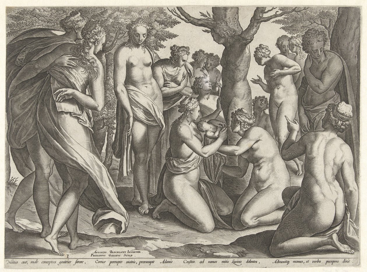 Geboorte van Adonis Het verhaal van Adonis (series title) 作者 飞利浦加勒