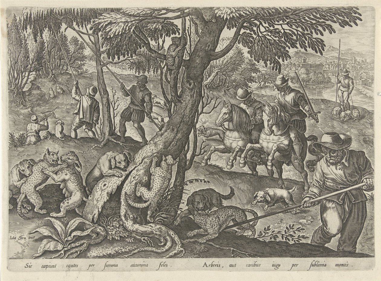 狩猎野猫
狩猎场景（系列标题）
In quibus omne genus venationis, aucupij, piscatusque（系列标题） 作者 飞利浦加勒