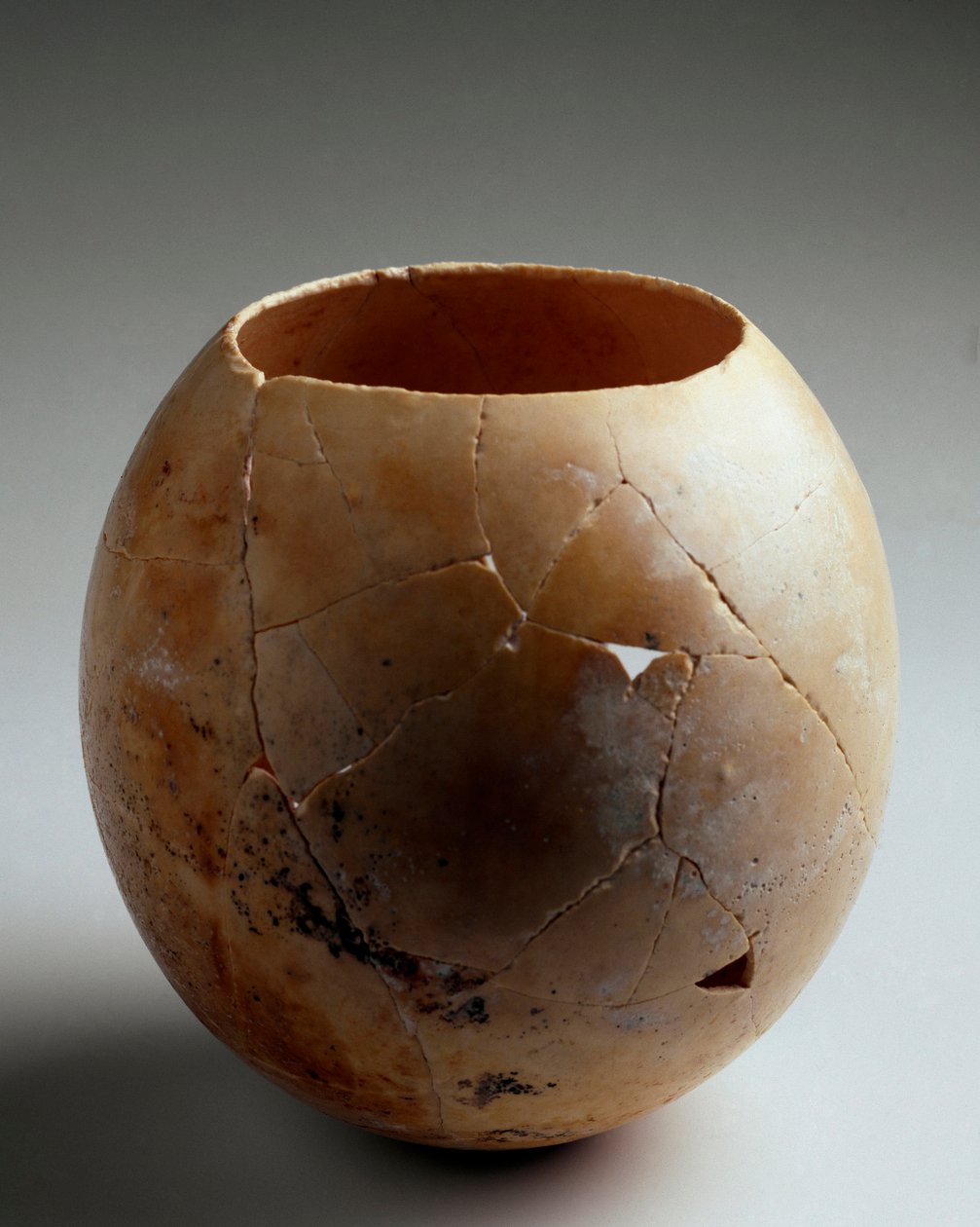 Phenician art: empty ostrich egg. From Laurita (Almunecar). 7th century BC. Dim. 13.2 cm Granada, Museo Arqueologico 作者 腓尼基人