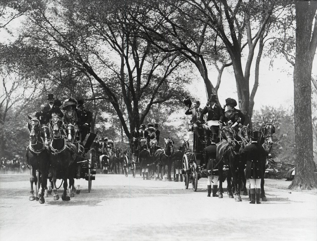 Coaching, Central Park (b/w photo) 作者 美国摄影师