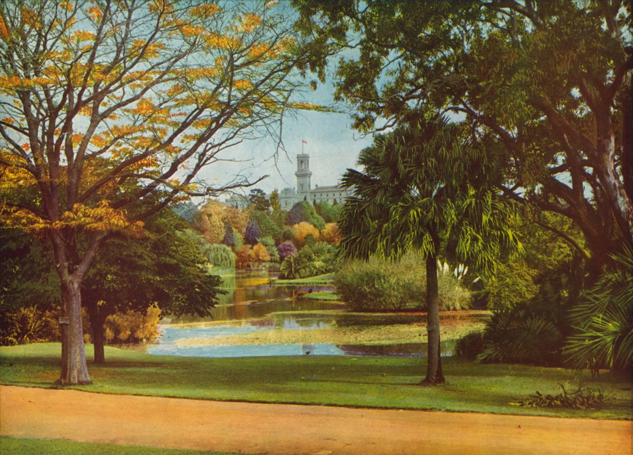  作者 澳大利亚摄影师