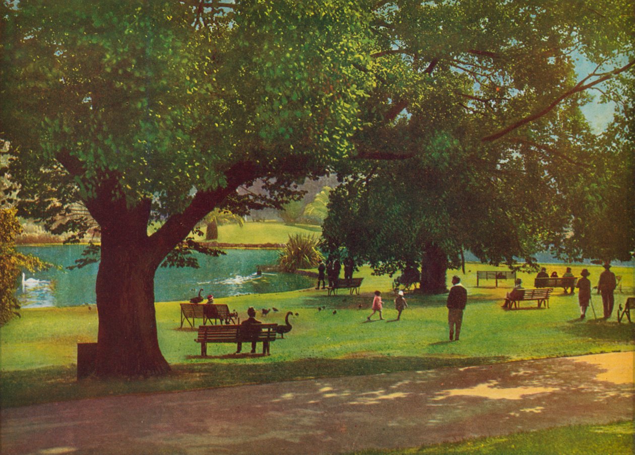 墨尔本植物园（彩色照片） 作者 澳大利亚摄影师