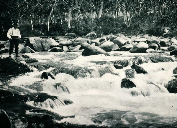 新南威尔士州金达比恩雪河的鳟鱼激流，约1900年，摘自《南十字星下--澳大利亚掠影》，墨尔本外交部出版。 作者 澳大利亚摄影师