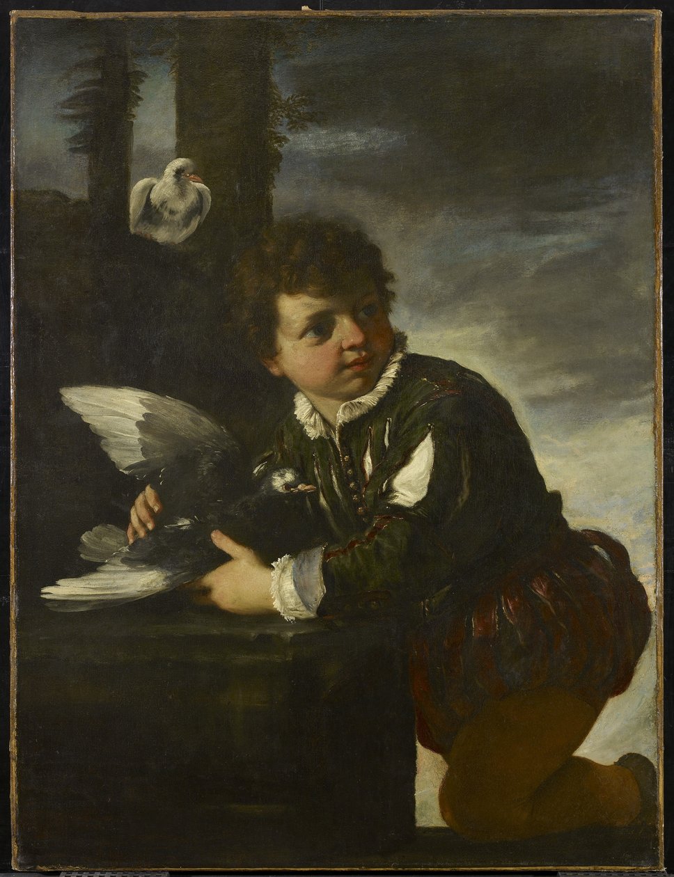 有鸠的男孩，c.1650-55 作者 码头弗朗切斯科莫拉
