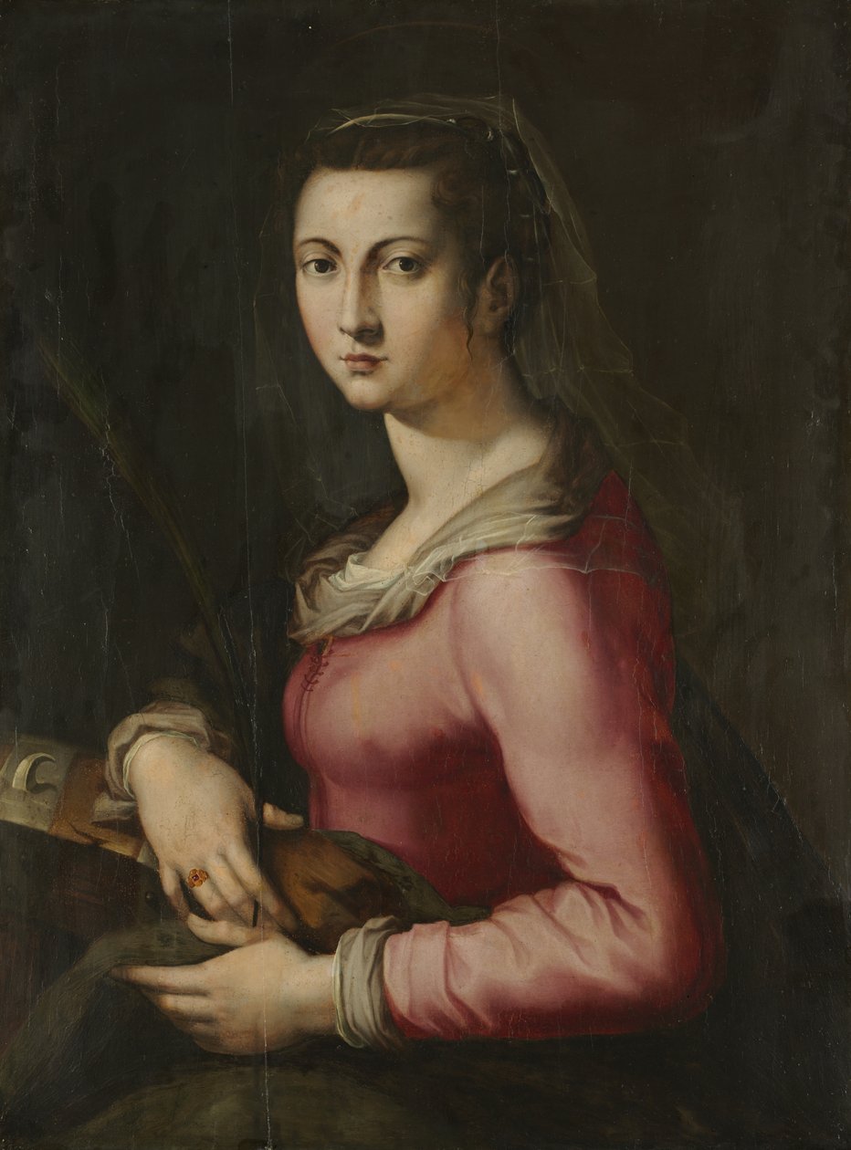 圣凯瑟琳的女人肖像，c。 1560（木板油画） 作者 弗朗切斯科·福斯基码头