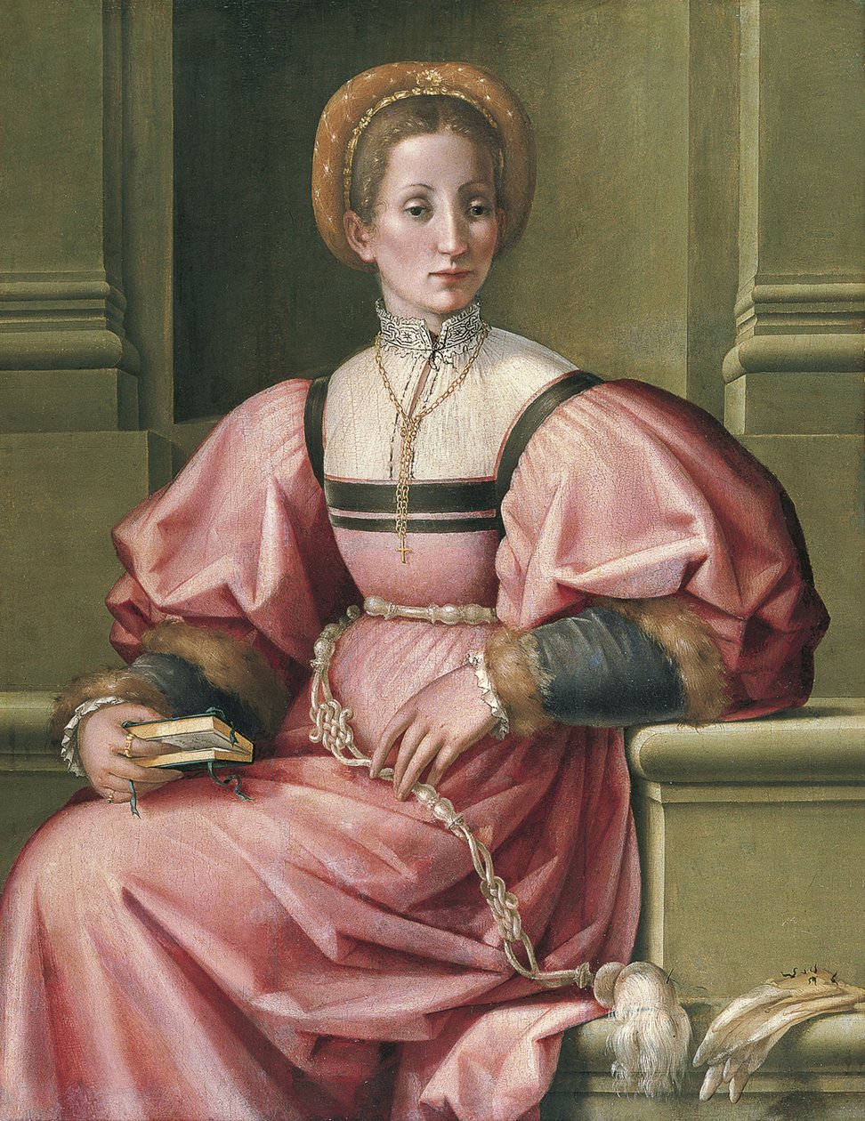 一位女士的画像 作者 Pier Francesco di Jacopo Foschi