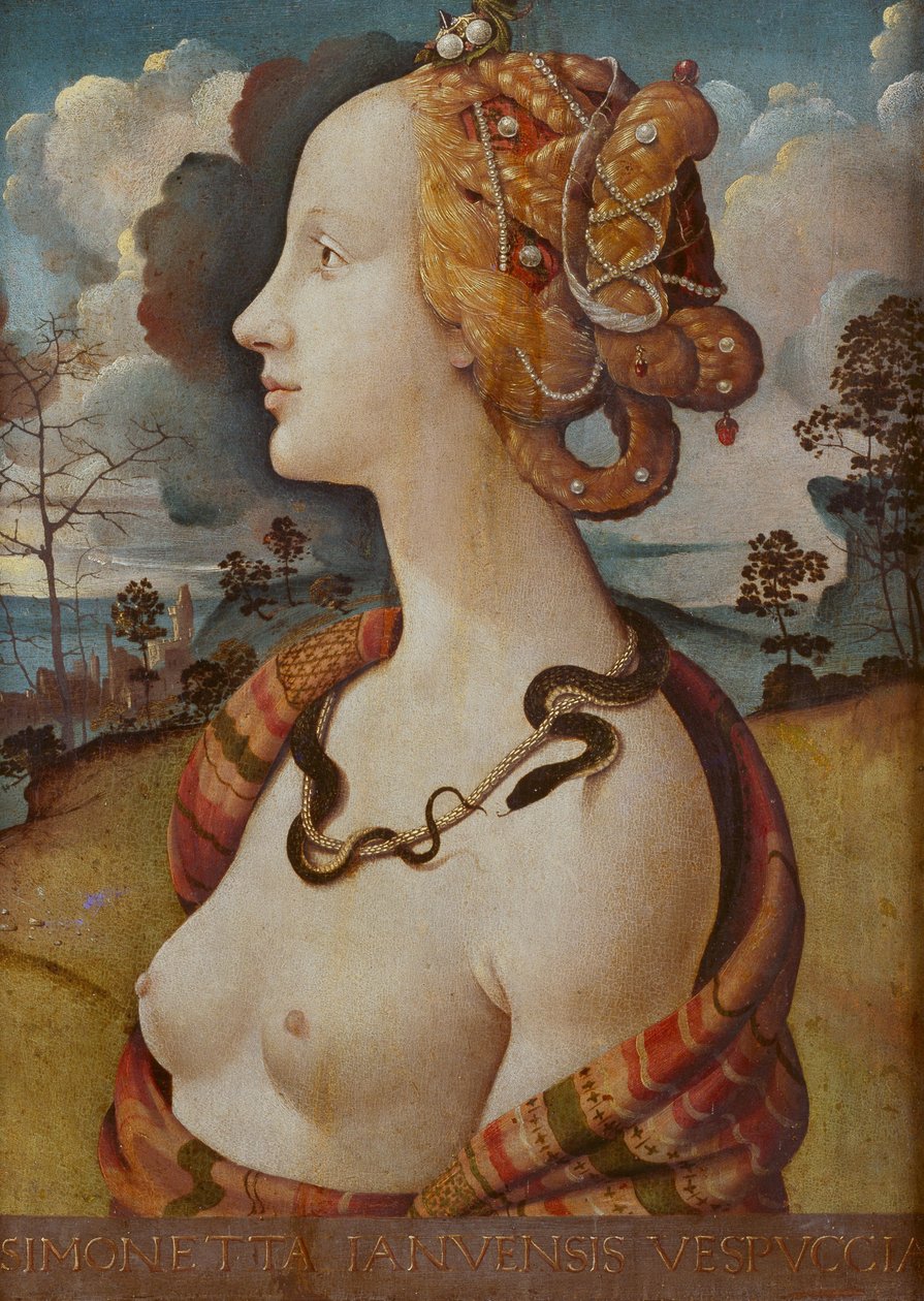 女人肖像说Simonetta Vespucci 作者 皮耶罗迪科西莫