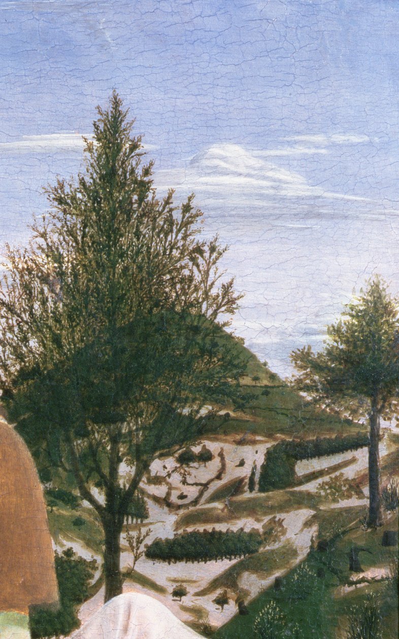 基督的洗礼，1450年代（面板上的蛋彩画）（细节372） 作者 皮耶罗·德拉·弗朗西斯卡