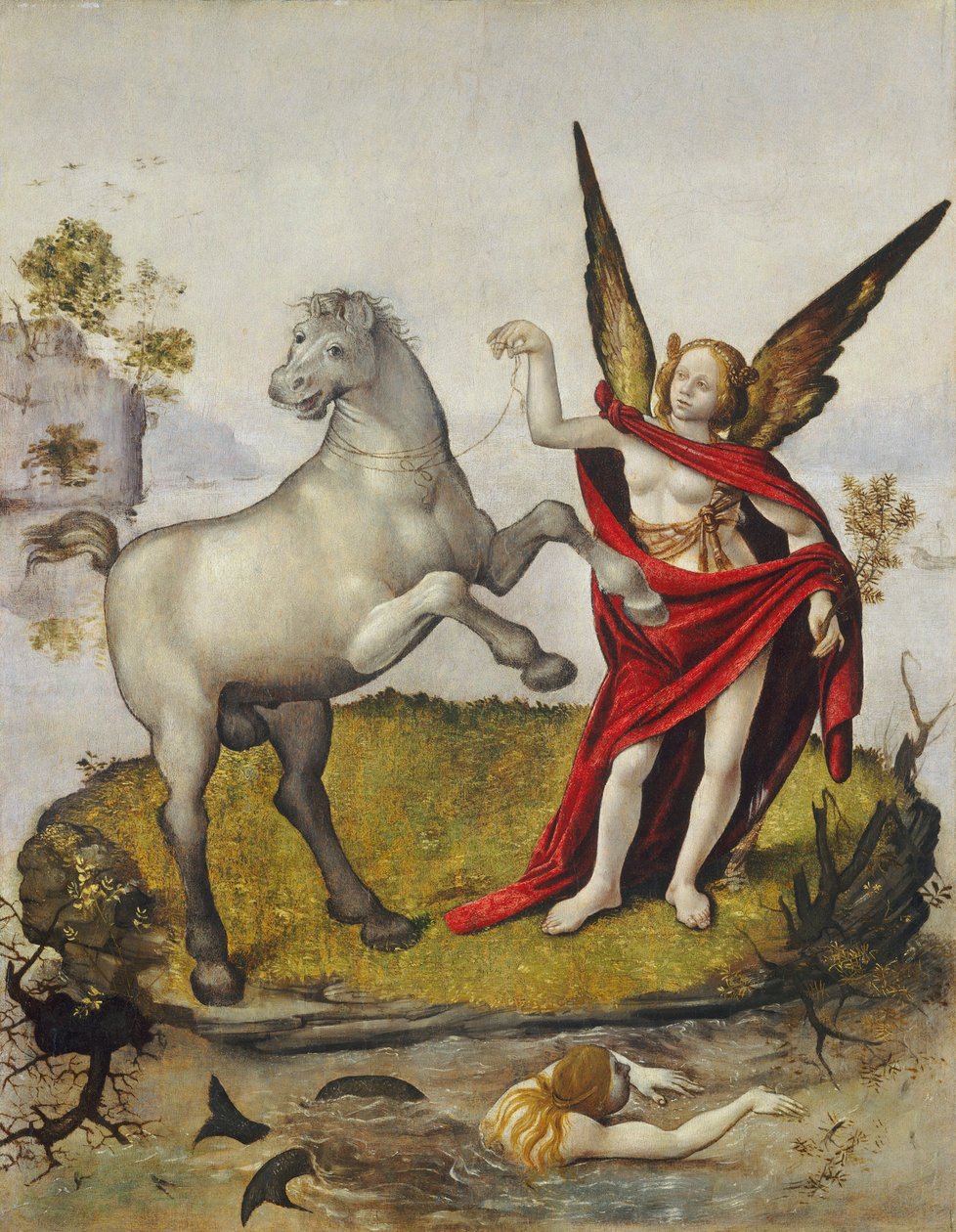 Allegory，c.1500 作者 皮耶罗迪科西莫