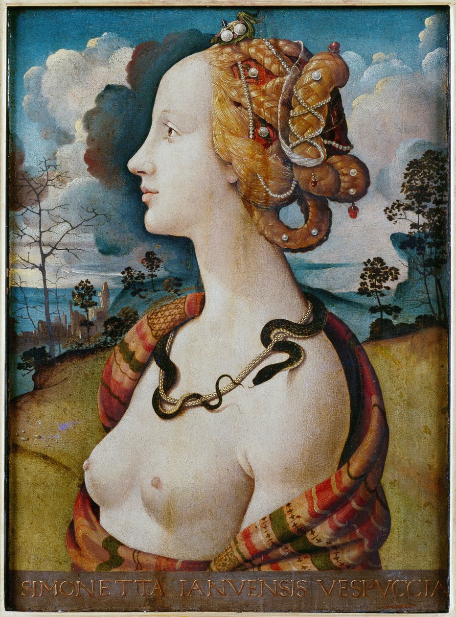 女人肖像说Simonetta Vespucci 作者 皮耶罗迪科西莫