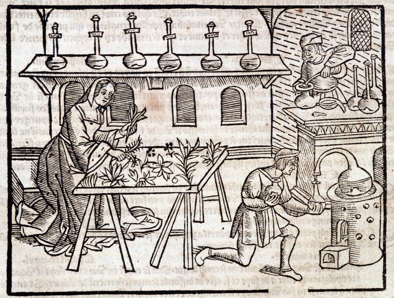 Medicine through plants and their virtues - in “” Des profits champêtres et ruraux”” by Pierre de Crescent, Paris 作者 皮耶罗·达·克雷森蒂诺