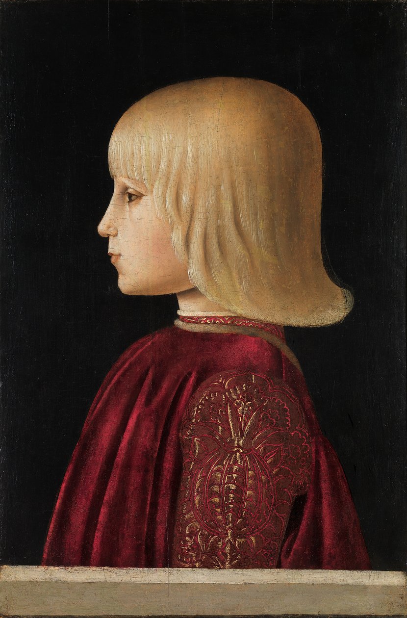 1479年，男孩Guidobaldo Da Montefeltro的肖像。 作者 皮耶罗·德拉·弗朗西斯卡