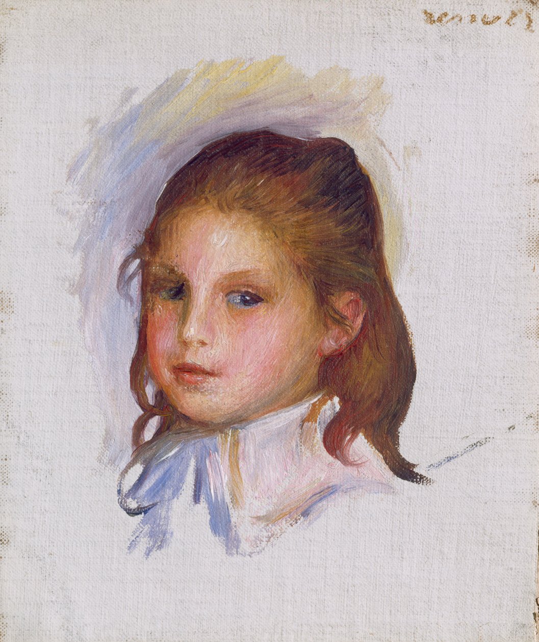 布朗毛的孩子，1887-88 作者 皮埃尔·奥古斯特·雷诺阿