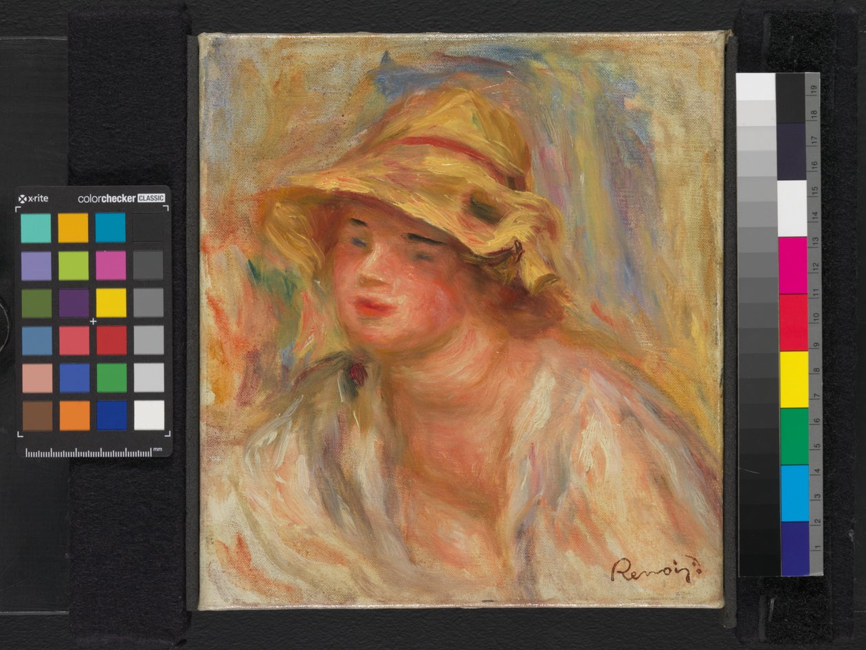 一个女孩的研究，c.1918-19 作者 皮埃尔·奥古斯特·雷诺阿