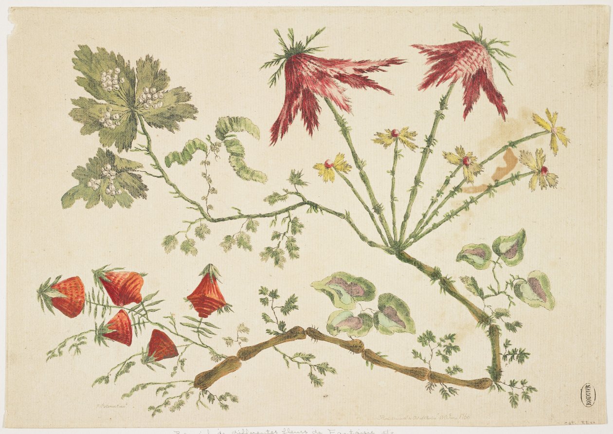 装饰，中国风，鲜花，1760年6月30日（彩色蚀刻） 作者 皮埃尔·查尔斯·卡诺特