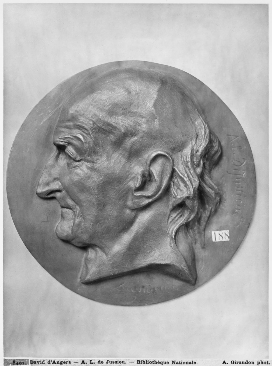 Antoine Laurent de Jussieu（铜牌） 作者 皮埃尔·简·大卫·丹格斯