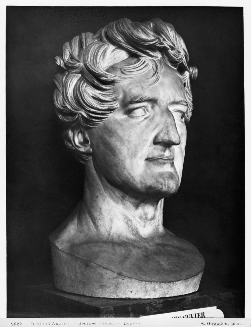 Georges Cuvier，1833年（大理石） 作者 皮埃尔·简·大卫·丹格斯