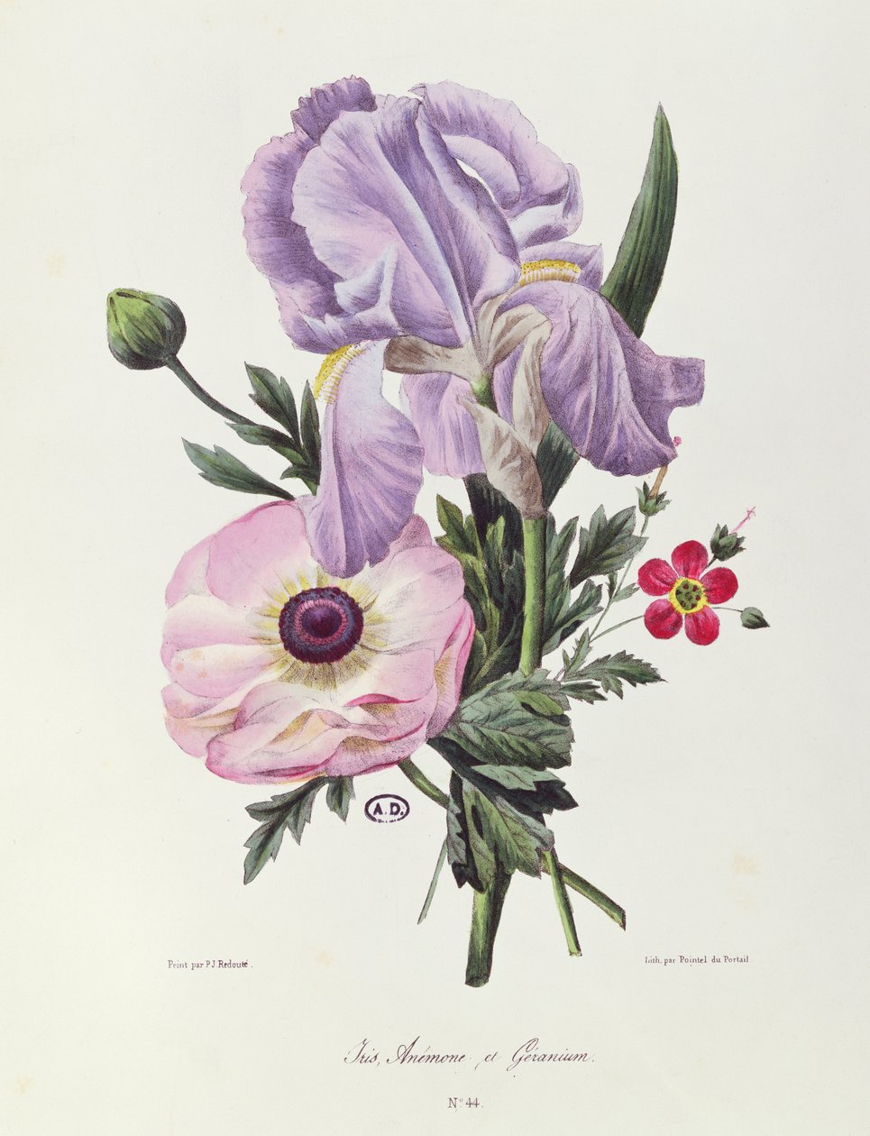 Iris，Anemone和Geranium，由Pointel du Portail雕刻，1830年 作者 皮埃尔·约瑟夫·雷杜特