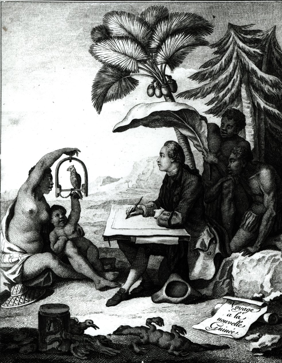 Pierre Sonnerat画一只鸟，从&39;航程到新几内亚&39;，由Marie Therese Martinet雕刻（b.1731）1776 作者 皮埃尔·桑纳拉特