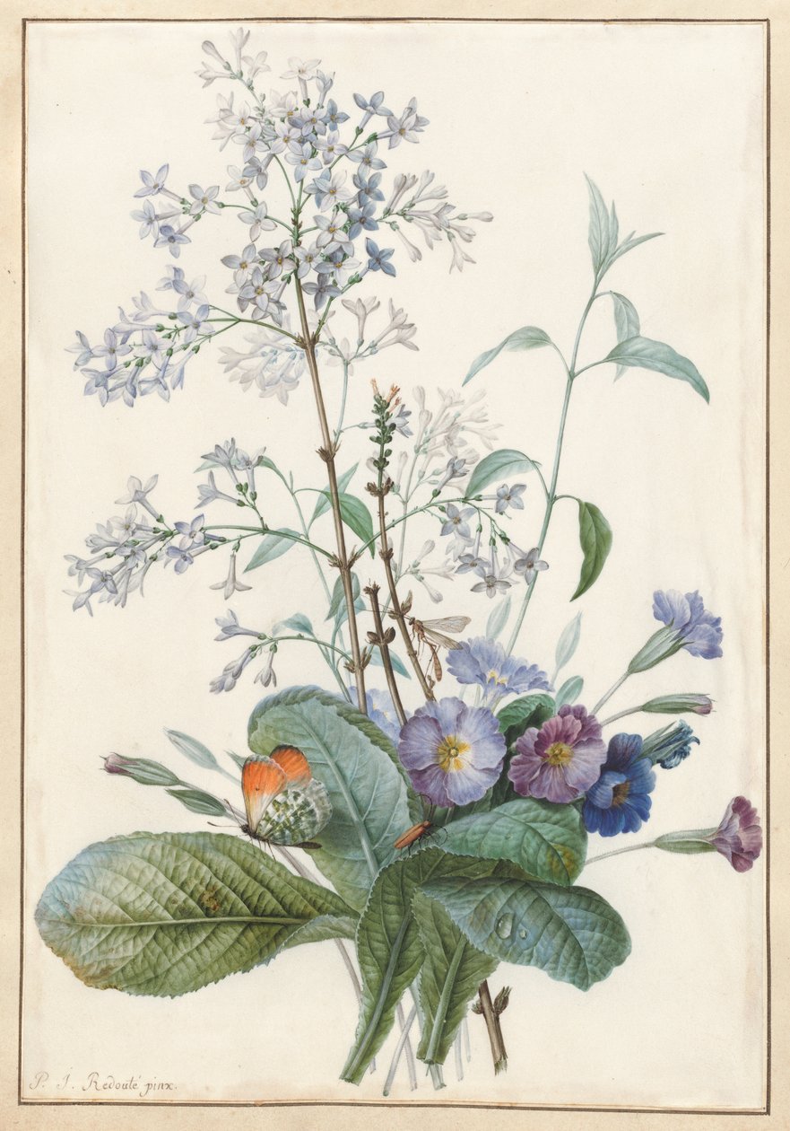 一束鲜花与昆虫 作者 皮埃尔·约瑟夫·雷杜特